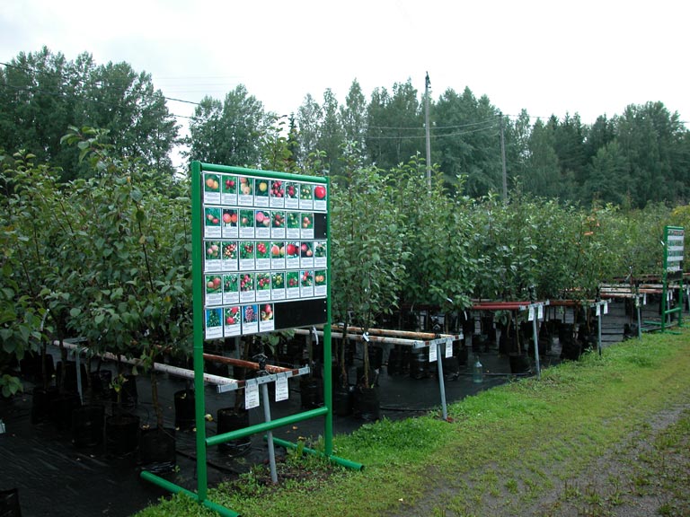 Monipuolinen kasvinäyttely ulkotiloissa