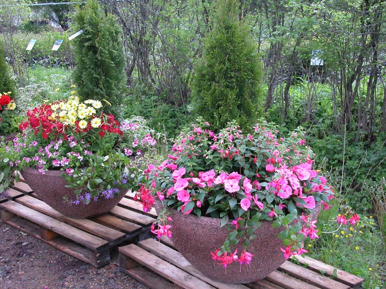 Inspiroiva puutarhaympäristö ja kasviesittely