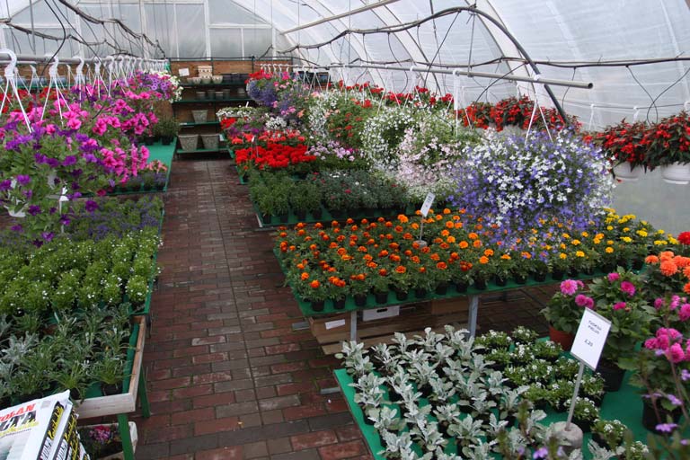 Yli 60 vuoden kokemus puutarha-alalta