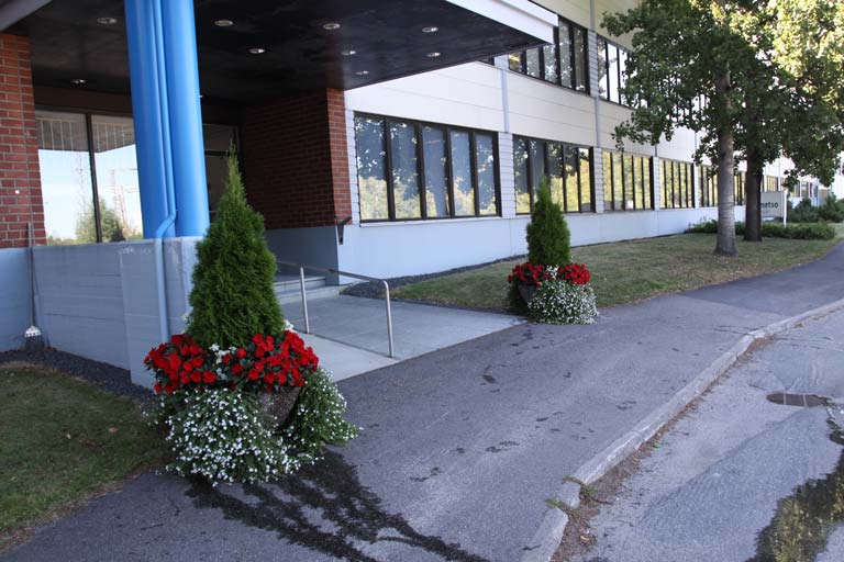 Viheralueiden istutustyöt ja kasvillisuussuunnittelu