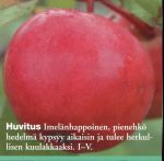 Kuva 3