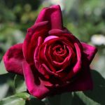 Kuva 3